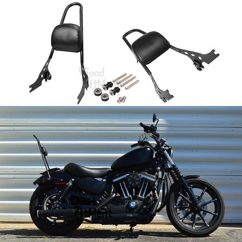 Detachable passenger sissy bar - detachable,